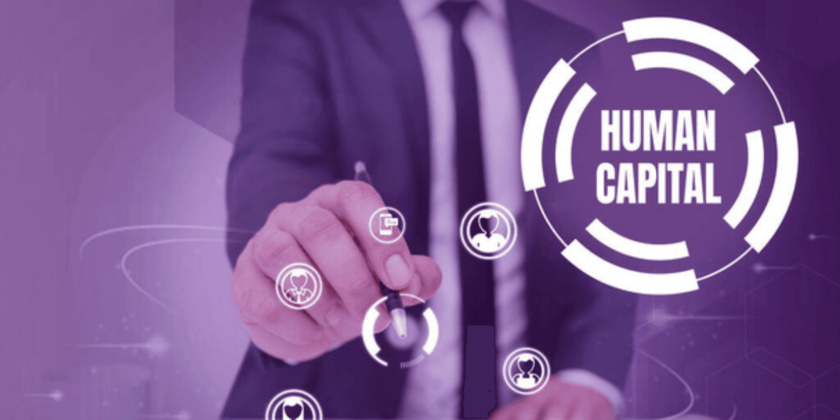 Leveraging Human Capital for Organisational Success